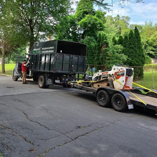 Tree Care in Northern Virginia | Jeovani's Tree Service